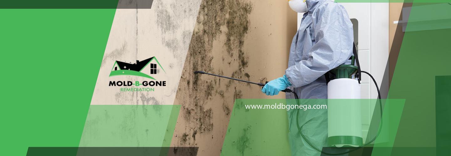 Mold-B-Gone cover photo