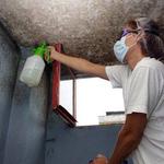 Mold-B-Gone - photo 3