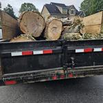 High Vision Landscaping & Tree Services LLC - photo 3