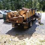 High Vision Landscaping & Tree Services LLC - photo 5