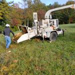 High Vision Landscaping & Tree Services LLC - photo 6