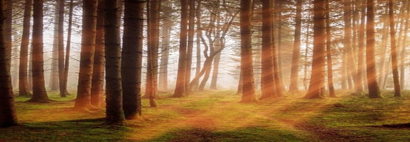 Fencor Packaging cover photo