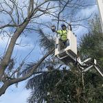 A Perfect Cut - photo 2