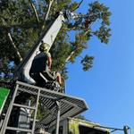 A Perfect Cut - photo 4