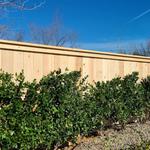 Shasta Fencing - photo 3