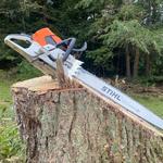 Backwoods Tree Service - photo 3