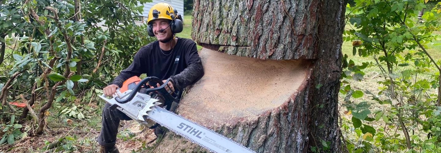 Backwoods Tree Service cover photo