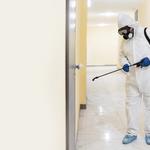 Pest Control Paris - photo 2