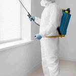 Pest Control Paris - photo 3