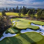 Back Nine Greens - photo 3