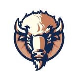 Bearded Buffalo Resort - Campgrounds in Custer
