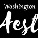 Washington Aesthetics & Medspa - Beauty & Spas in Fairfax