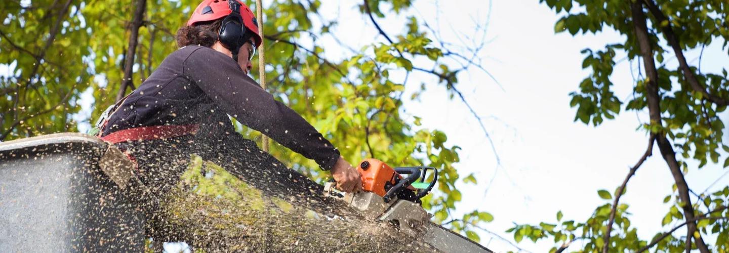 Harpers Tree Service cover photo