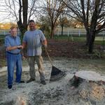 Harpers Tree Service - photo 4