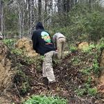 Harpers Tree Service - photo 7