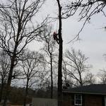 Harpers Tree Service - photo 8