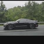 Deadly Shine Detailing - photo 2