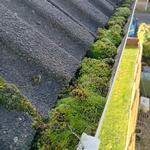 WOW Gutters Ltd - photo 4