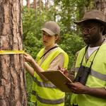 Wildlife Raleigh - photo 3