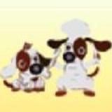 Doggychews International Co., Ltd - Pet Services in Taichung