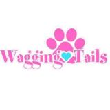 Wagging Tails Animal Daycare profile photo