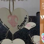 Wagging Tails Animal Daycare - photo 3