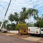 Top End Tree Service - photo 2