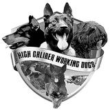 High Caliber Working Dog Training - Pet/Animal Training in Upland