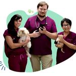 Beyond Pets Animal Hospital - photo 2