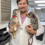 Beyond Pets Animal Hospital - photo 4