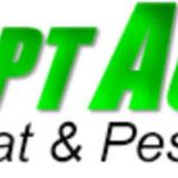 Prompt Action Pest Control LLC - Pest Control in Schofield