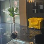 Medical Hair Murcia - Clínica Capilar - photo 2