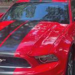 Real Car Detailing - photo 3