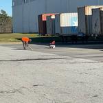 Lowcountry Hardscapes - photo 8