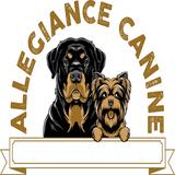Allegiance Canine - Pet/Animal Training in Collierville