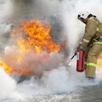 Serviced Fire Equipment - photo 5