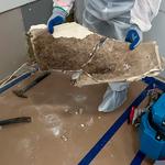 Quantum Restoration - photo 9