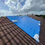 Quantum Restoration - photo 10