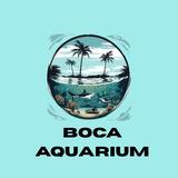 Boca Aquarium - Aquariums in Boca Raton