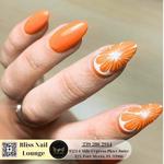 Bliss Nail Lounge - photo 1