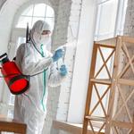 moldremovalsavannah - photo 1