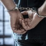 Carlson Meissner Hayslett, P.A. - photo 7