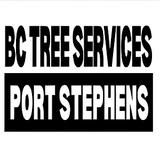 Brad Chapman Professional Tree Services