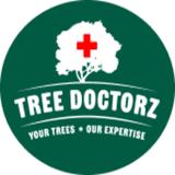 Tree Doctorz - Tree Services in Downingtown