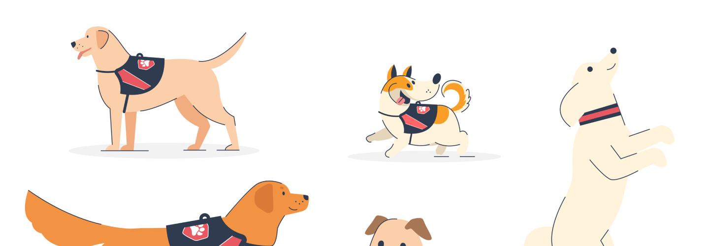 Pet-First.com - 24/7 Multi-speciality Pet Hospital in Hyderabad  cover photo