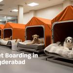 Pet-First.com - 24/7 Multi-speciality Pet Hospital in Hyderabad  - photo 1