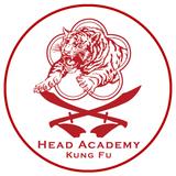 Head Academy Kung Fu - Martial Arts in Kirrawee