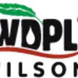 wilsondrugs - Health Insurance Offices in Tehsil Fateh Pur