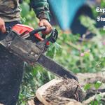 Tree Services Pocatello -  Tree Services in Pocatello, Idaho - photo 1