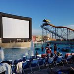 Freedom Fun USA - photo 5